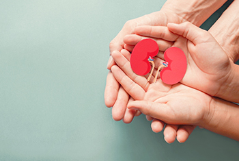 Nephrology , Urology & Kidney Transplant
