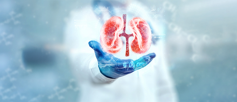 Nephrology , Urology & Kidney Transplant