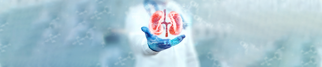 Nephrology , Urology & Kidney Transplant